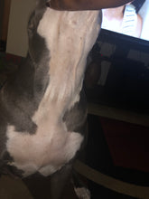 Load image into Gallery viewer, Natural Dog Company SKIN SOOTHER® TRAVEL STICK