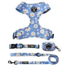 Load image into Gallery viewer, HELLO DAISY TIME BUNDLE SET