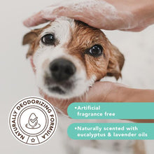 Load image into Gallery viewer, Natural Dog Company SENSITIVE SKIN OATMEAL LIQUID SHAMPOO