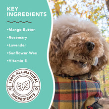 Load image into Gallery viewer, The Natural Dog Company PAW SOOTHER STICK®