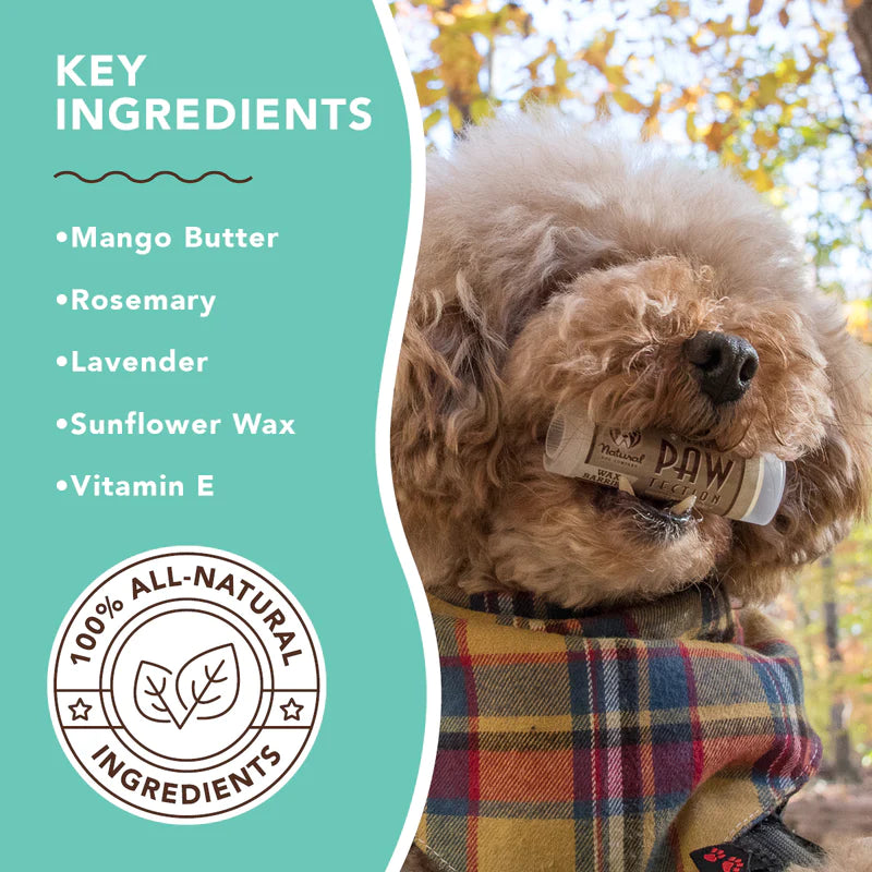 The Natural Dog Company PAW SOOTHER STICK Frenchie Mob