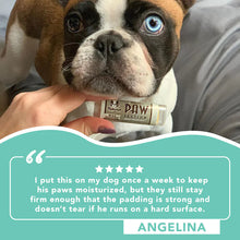 Load image into Gallery viewer, Natural Dog Company PAW TECTION® TRAVEL STICK