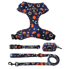 Load image into Gallery viewer, PLAY BALL BUNDLE SET