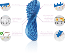 Load image into Gallery viewer, Pet+Me GROOMING SILICONE BLUE BRUSH