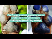 Load and play video in Gallery viewer, Natural Dog Company PAWTECTION